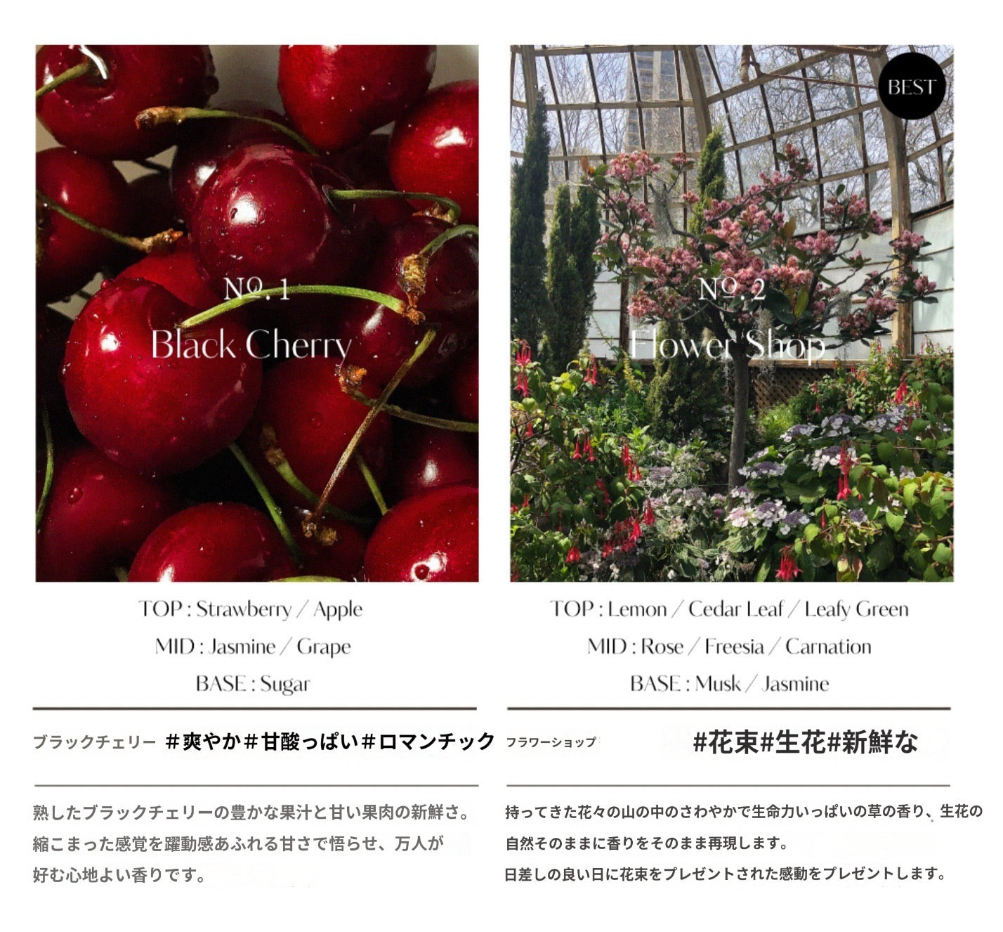 大容量ディフューザー set 500ML | HETRAS