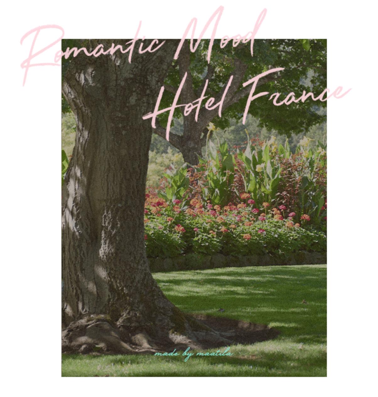 Hotel France collection | pillow case