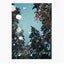 snowing trees | wall art