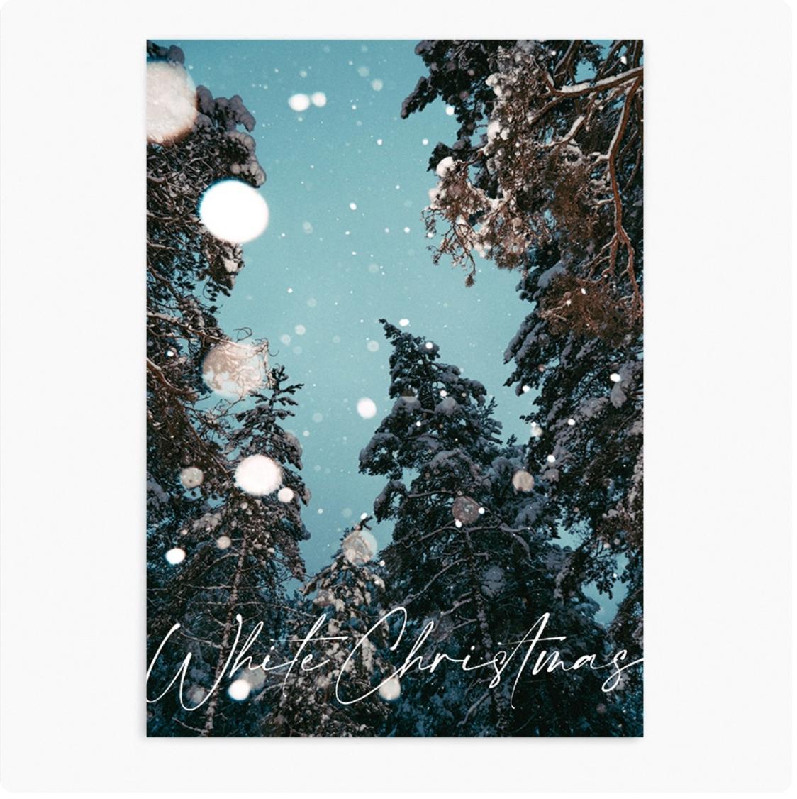 snowing trees | wall art