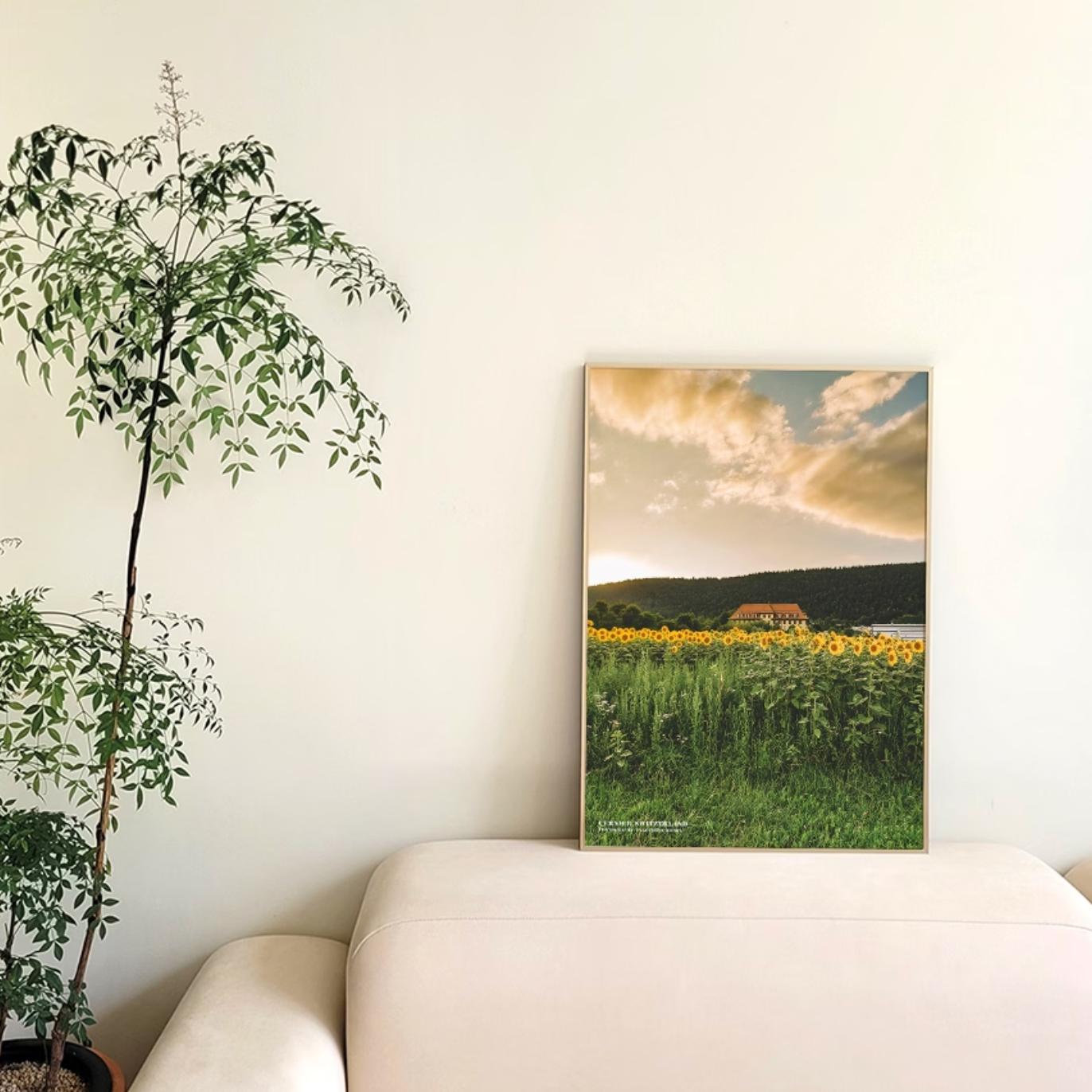 sunflower farm | wall art