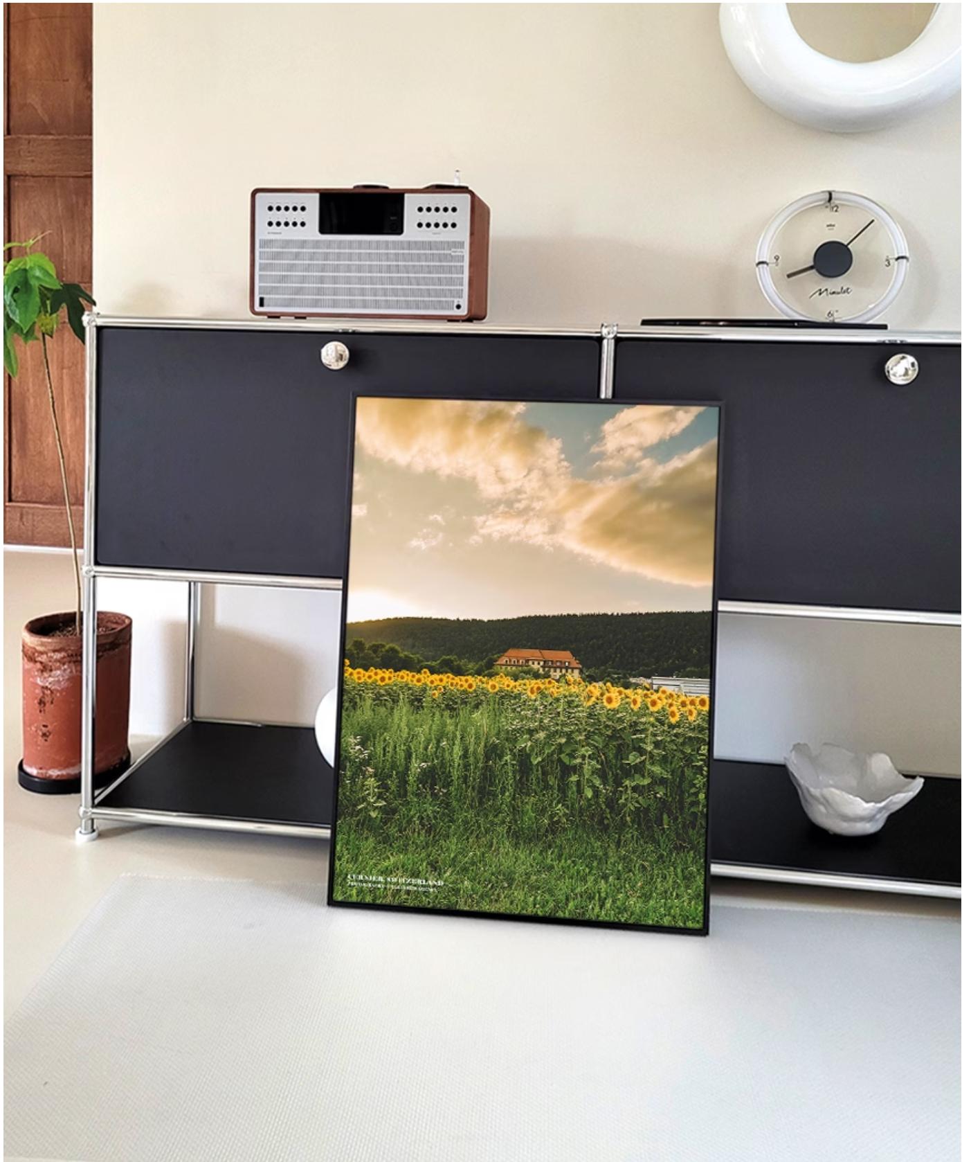 sunflower farm | wall art