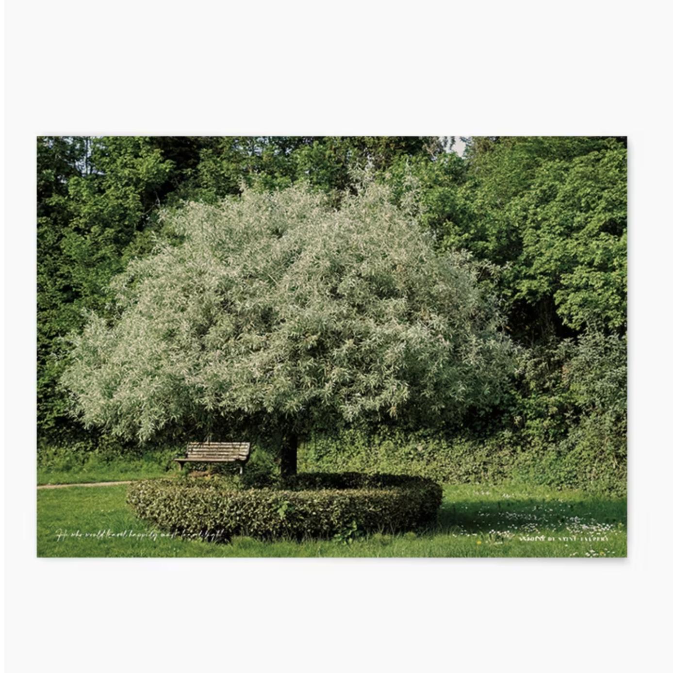 TREE | wall art