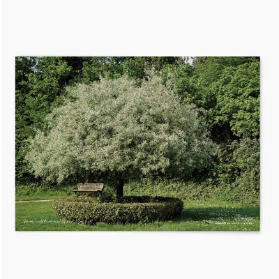 TREE | wall art