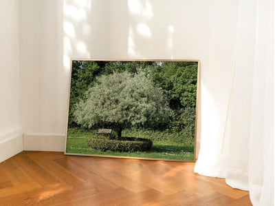 TREE | wall art