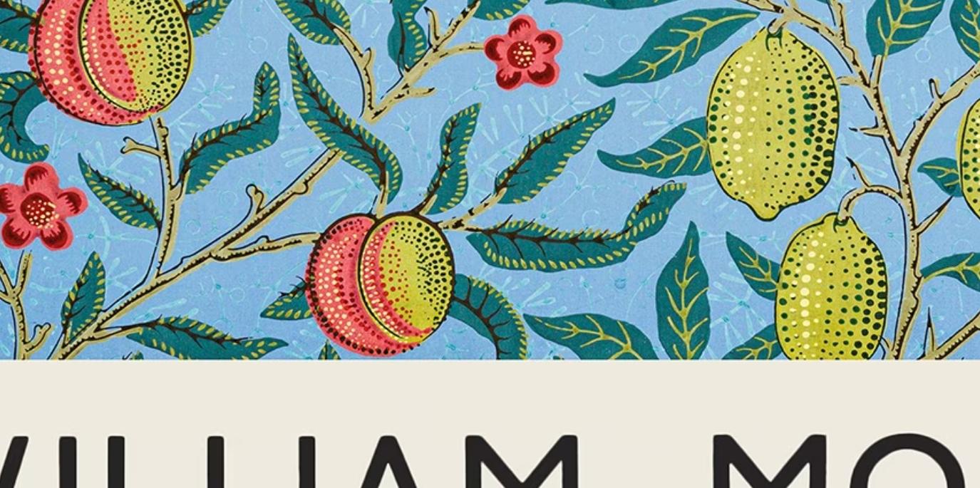 WILLIAM MORRIS | wall art